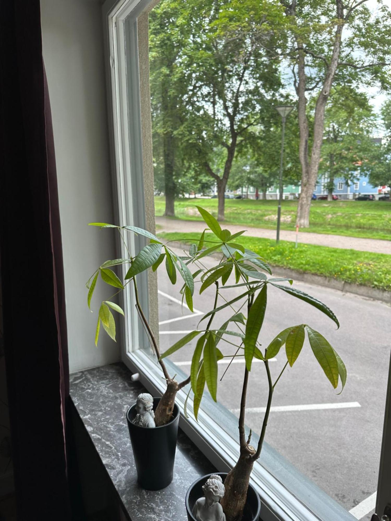 Pramkanalens Pensionat I Karlstad Ngoại thất bức ảnh